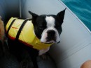 Bodee in his life jacket, Staniel Cay