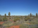 Outback Landschaft und strahlend blauer Himmel