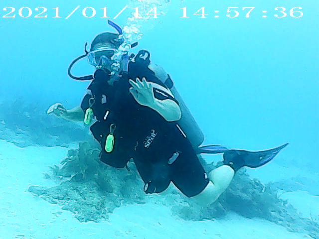 Alexi back in the water: It had been some time since Alexi did SCUBA