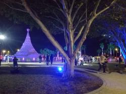 Sandyclaus tree: A huge light display in West Palm for Xmas