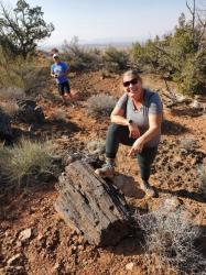 Petrified wood: Jake and Alexi found a huge petrified log from 200 million years ago