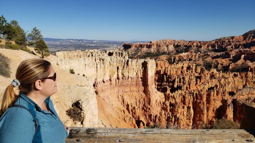The hoodoos: Looking out over the hoodoos in the national park