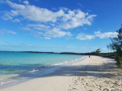 Moss Cay Beach: Sirius enjoys a walk on the beach