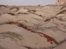 Sand dunes at Morro Bay.