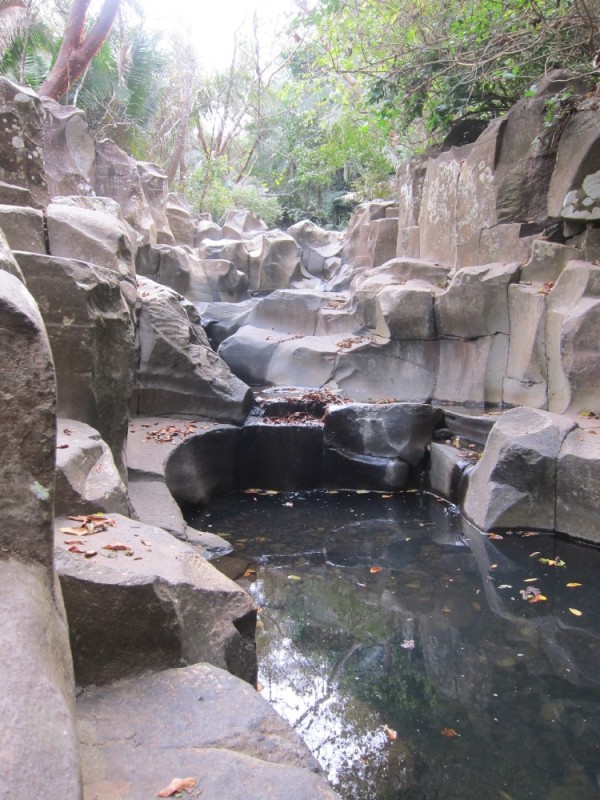 Petroglyphs surround the pools