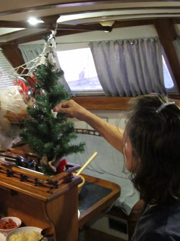 Laurie puts her ornament on their tree