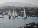 lots of racers come back into the marina