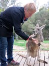 I feed the kangaroos