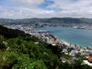 Beautiful Wellington