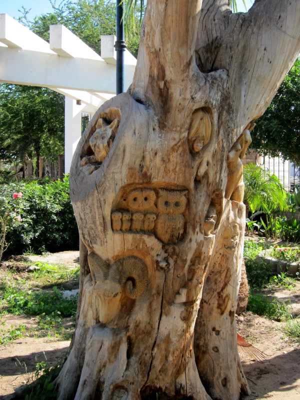 tree carvings