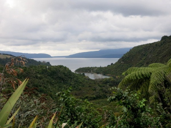 View of Lake Tarawera looking across to the volcano that erupted and covered this valley under 2 meters of thick volcanic material, destroying villages and 8,000 square kilometres of countryside. 