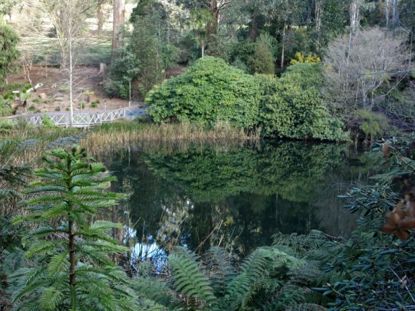 reflection in lake at the Rhododendron gardens