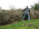 We were asked by the owners to prune the hedge 