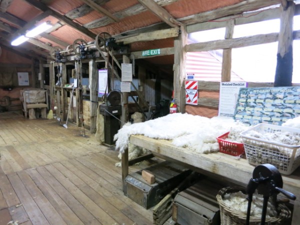 the sheep museum in Masterton