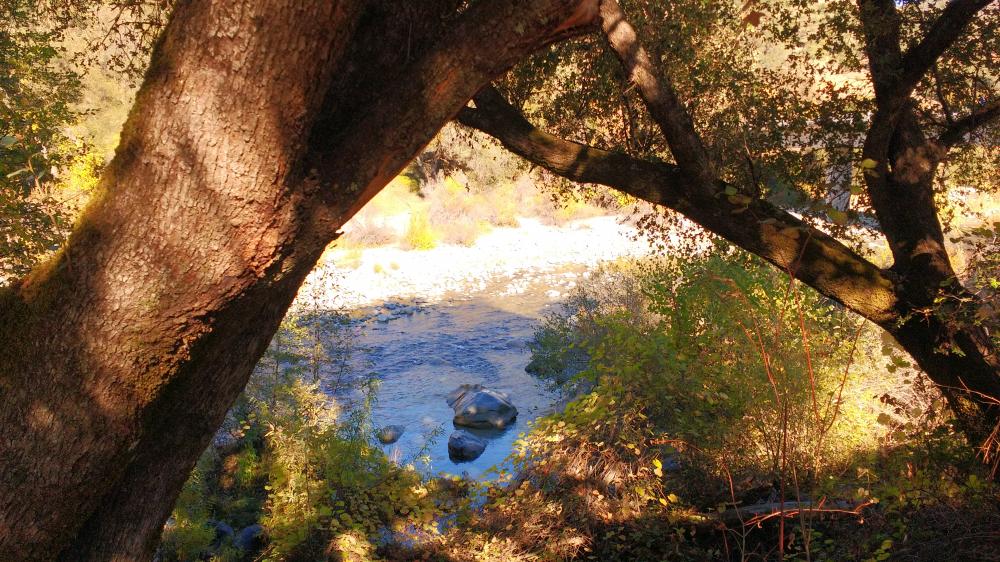 South fork of Yuba River