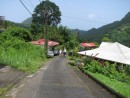Walking down the steep road, surrounded by small, well looked after homes.