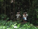 This is the stuff from Tarzan movies- vines to swing through the jungle with....