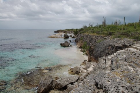Cliffs, blue tropical seas and cactus at the North end of Bonaire