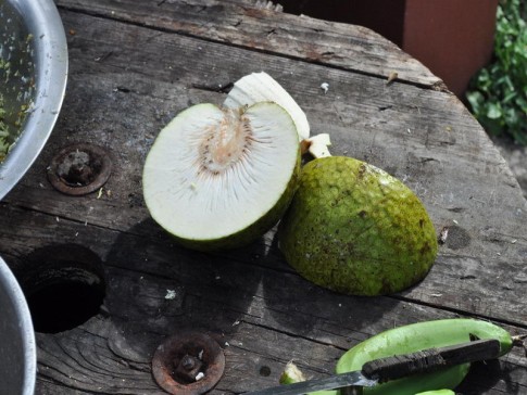 Breadfruit grows throughout the Caribbean and is a major ingredient of an Oildown. It tastes very starchy. Every islander thinks their local breadfruit tastes better than another island