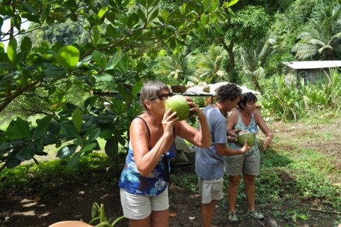 The coconut water tasted slightly sweet with a hint of coconut flavour. Would go great with rum.