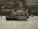 sea lions owning local fishing boat...notice nice clean hull....