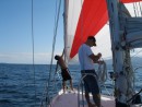 cabo 084: Checking the spinnaker...