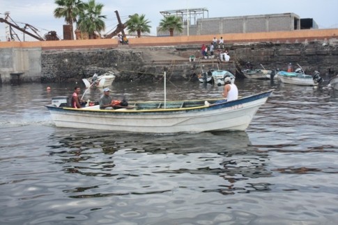 Local Fishermen head out in search of Squid