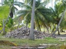 Pile of coconuts, Kauehi atoll, Tuamotu Archipelago