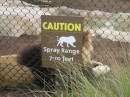 Where to Not Stand, San Diego Zoo