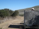 Brian enjoying the view from the outhouse, Santa Cruz Island, CA