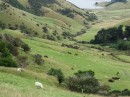Inland hills, Otago Peninsula