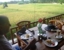 Morning coffee, Ubud, with rice paddys right beside. 2-10-13