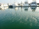 Reflections - cloud & boats. Breakwater Marina 8-9-12