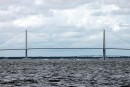 this is what the bridge looks like from the river in downtown Charleston.