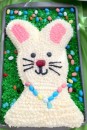 Bunny cake Andi made for Easter dinner.