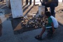 Lots of conch!  The fisherman bring their catch of the day to the dock to clean and sell the fish.
