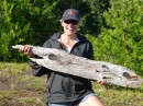 Oh my, another piece of drift wood,  Alice where are you going to store all your stuff?
