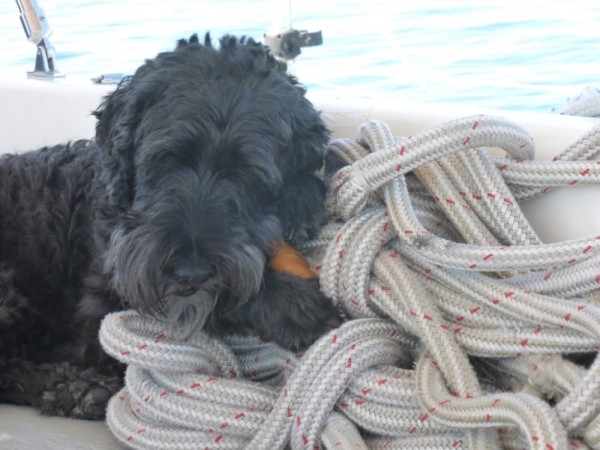 Ahh, my pile of ropes, my bone and I