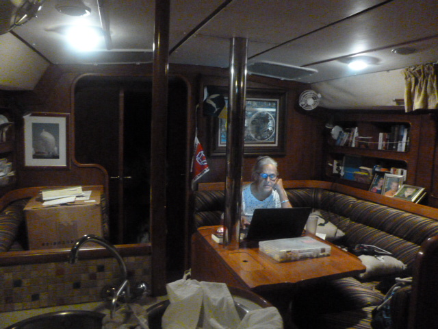 First Mate composing her stories: Alice hard at work writing her stories for her book