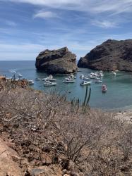 Martini Cove: Many boats anchored here for Semana Santo )Holy Week)