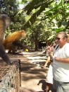 Kathy feeding a monkey.  She
