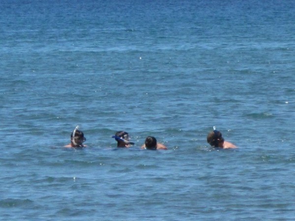 The boys snorkeling for the clams.