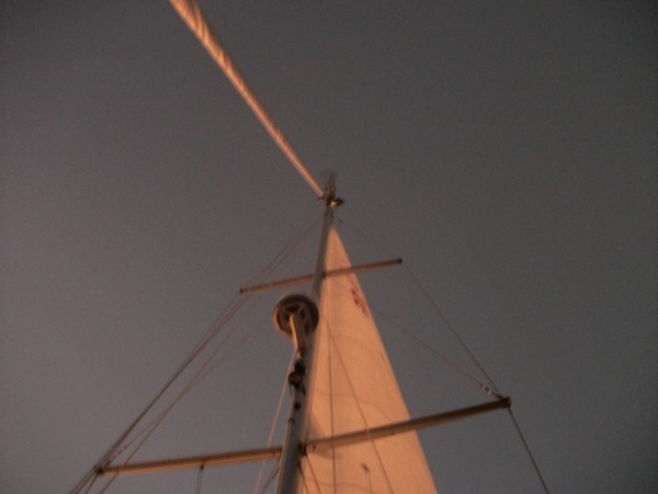 In route to Bahia Magdelena. Look closely to see the bird resting at the top of the mast.