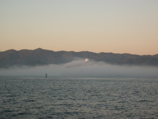 Going in to Half Moon Bay. Not sure what the structure is but with the fog it looked like it belonged in a scifi movie.