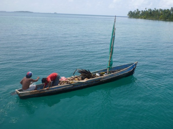 These men paddles 3 hours to reach green island and collect coconuts and palm leaves