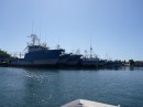 Roatan has the largest fleet of commercial shrimp boats in the world.