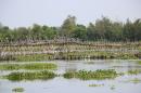This bamboo bridge was built by a local village and there is a small fee to use it.