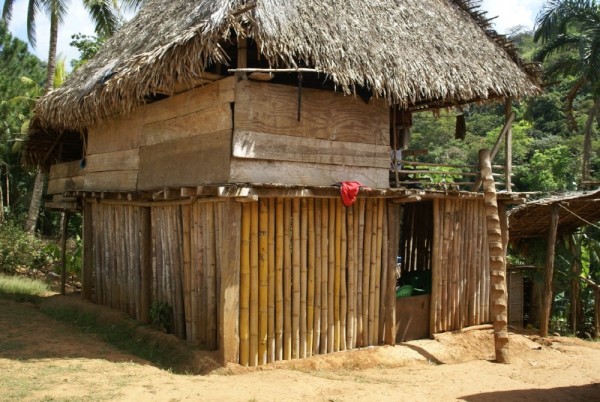 Typical village home