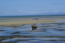 The water taxis at Abel Tasman use tractors to dull their puts into or out of the water at low tide