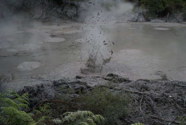 Hot sulfuric gasses boil up through these mud pools